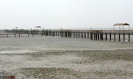 科隆：恐怖游戏《逃生：试炼》B测宣传片公开