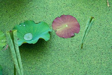 搞怪剧情节奏游戏《追星者：时间之手》发售日公布 2024年9月16日推出